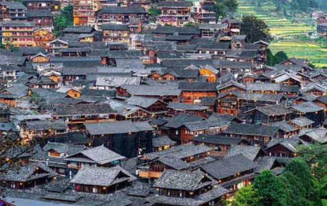 高坪乡村别墅的靠谱依赖